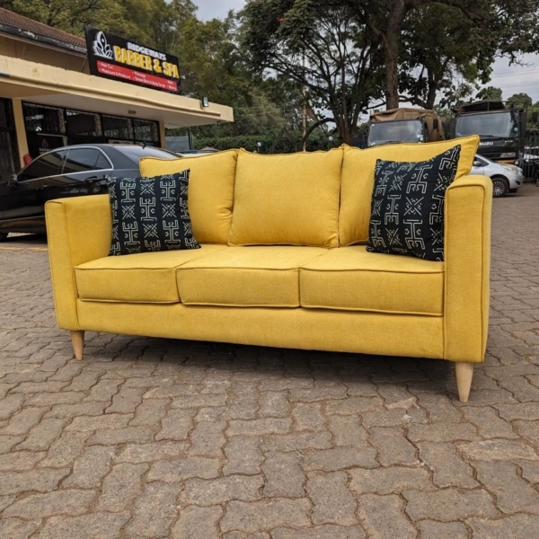 3 Seaters Contemporary Design Couch